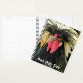 Funny Bad Hair Day Chicken Meme Planner (Display)