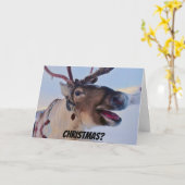 Funny Bah Humbug Reindeer Carte de Noël (Fleur jaune)