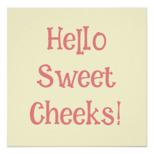 Funny Bathroom Humor Hallo Sweet Cheeks Perfect Poster