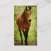 Funny Bay Horse Visitekaartje (Achterkant)