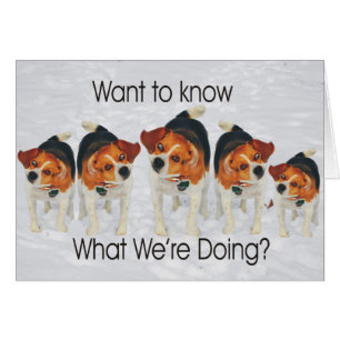 Funny Beagle Ears Flapping Beagle Line Dancing