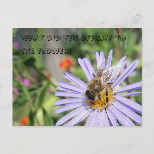 Funny Bee Briefkaart (Voorkant)