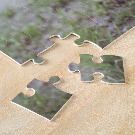 Funny Big Black Pig Posing for Camera Legpuzzel (Zijkant)