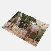 Funny Bighorn Sheep in Zion National Park Deurmat (Schuin)