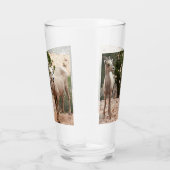 Funny Bighorn Sheep in Zion National Park Glas (Rechts)