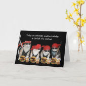 Funny Biker Cats carte d'anniversaire (Fleur jaune)