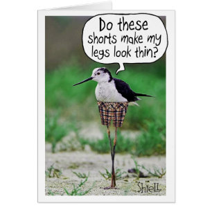 FUNNY BIRD SHORTS Card or gift