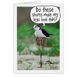 FUNNY BIRD SHORTS Card or gift