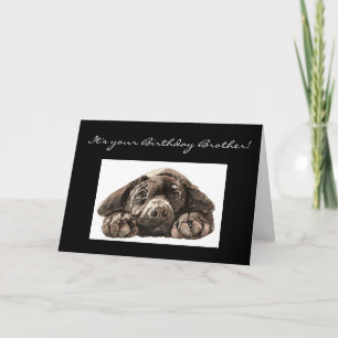 Funny Birthday Brother, Labrador Retriever Kaart