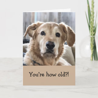 Funny Birthday Card Kaart