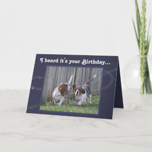 Funny Birthday Card met Cute Basset Hounds & ballo Kaart
