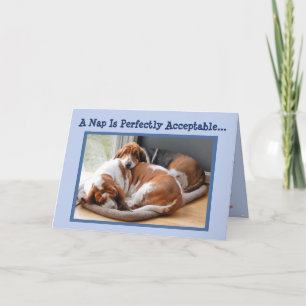 Funny Birthday Card met Cute Napping Basset Hounds Kaart