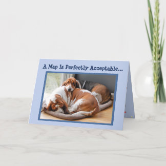 Funny Birthday Card met Cute Napping Basset Hounds Kaart