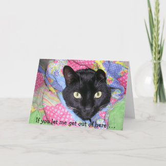 Funny Birthday Card: Verpakte zwarte kat Kaart