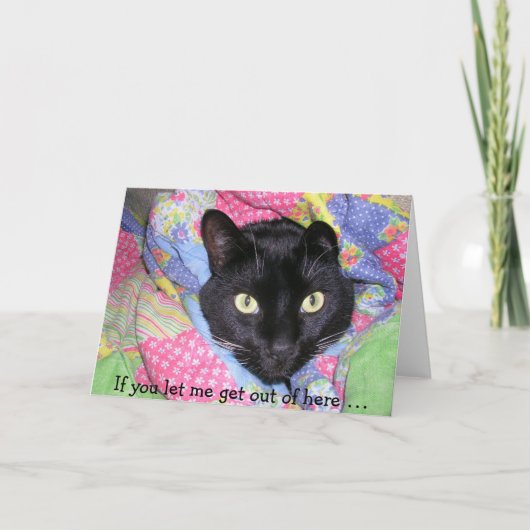 Funny Birthday Card: Verpakte zwarte kat Kaart (Voorkant)