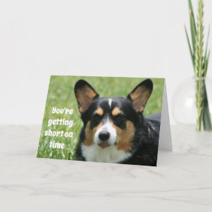 Funny Birthday Card Welsh Corgi Kaart