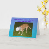 Funny Birthday Chien coincé dans la carte de poche (Fleur jaune)