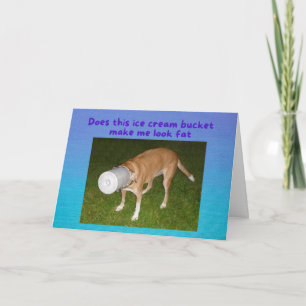 Funny Birthday Dog Stuck in Ice Cream Bucket Card Kaart