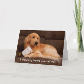 Funny Birthday Golden Retriever met ijsbox Kaart (Voorkant)
