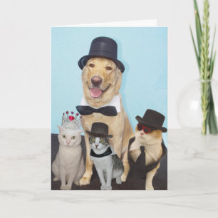 Funny Birthday Kaart