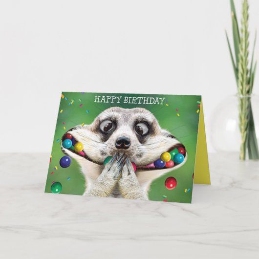 Funny Birthday Kaart - Meerkat (Voorkant)
