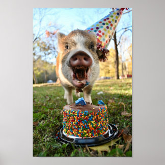 Funny Birthday Pig Poster