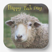 Funny Birthday Sheep Paper Bord (Voorkant)