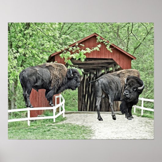 Funny Bison op de overdekte brug Poster (Voorkant)