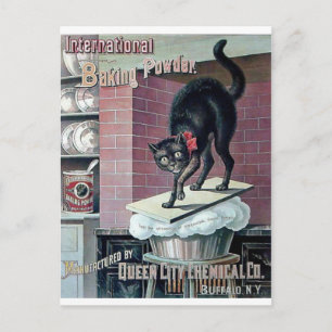 Funny black cat bakpoeder poster en briefkaart