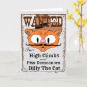 Funny Blank Inside Card Outlaw Cowboy Cat Kaart (Gele Bloem)