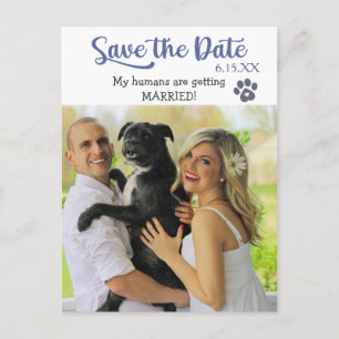 Funny Blue Text Save the Wedding Date with Dog Briefkaart
