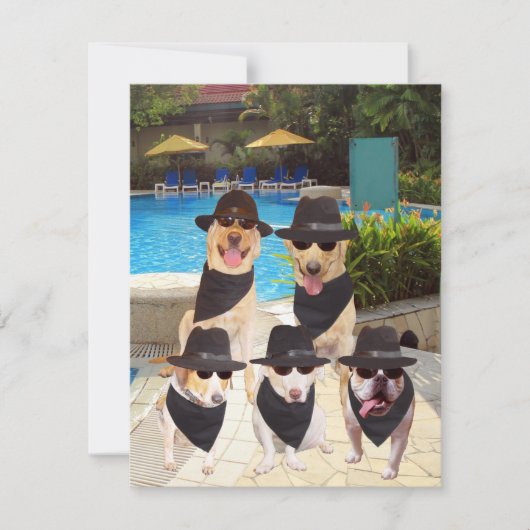  Funny Blues Dogs/Lab Invite Kaart (Voorkant)