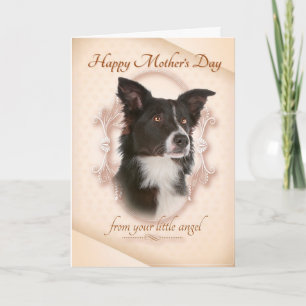Funny Border Collie Moederdag Card Kaart
