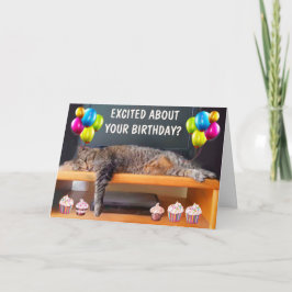 Funny Bored Cat Birthday Folded Wenskaart Kaart