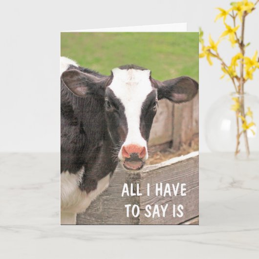 Funny Bossy-Koe komt goed Kaart (Gele Bloem)