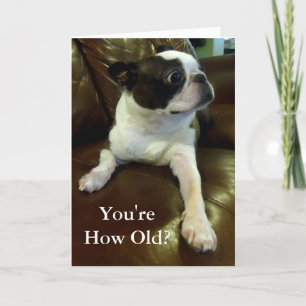 Funny Boston Terrier Birthday Card (Redding voor d Kaart