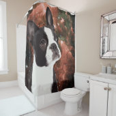 Funny Boston Terrier dans le rideau de douche spat (En situation)