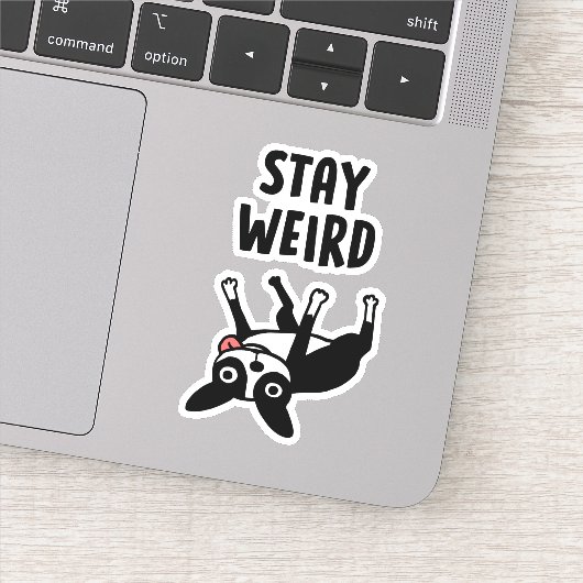Funny Boston Terrier Stay Weird Dog Sticker (Detail)