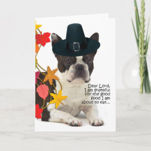 Funny Boston Terrier Thanksgiving Card Feestdagen Kaart