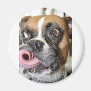 Funny Boxer Dog Magneet
