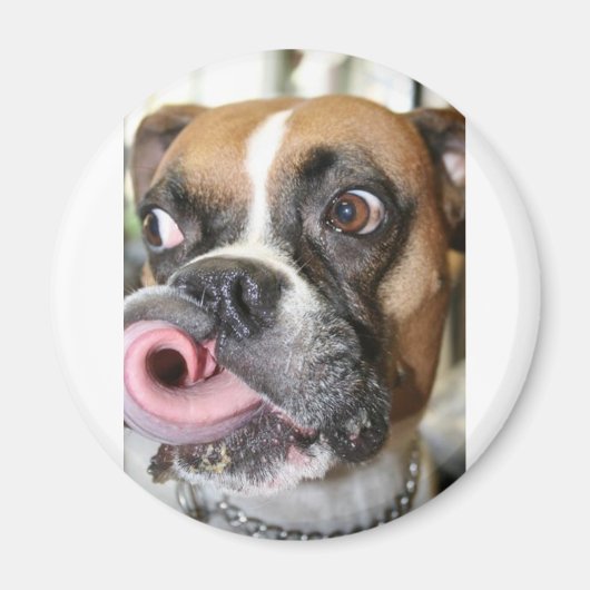 Funny Boxer Dog Magneet (Voorkant)
