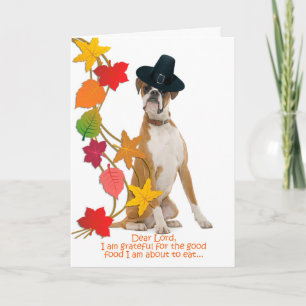 Funny Boxer-Thanksgiving Feestdagen Kaart