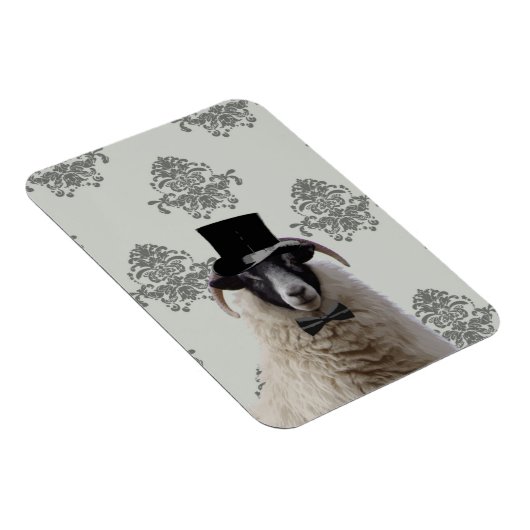 Funny bridegroom schaap bovenin magneet (Rechterzijde)