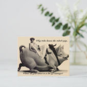 Funny Briefkaart dame die een varken bestuurt... (Staand voorkant)