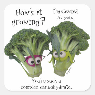 Funny Broccoli Talk Vierkante Sticker