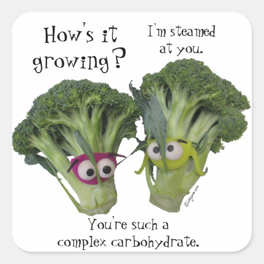 Funny Broccoli Talk Vierkante Sticker (Voorkant)
