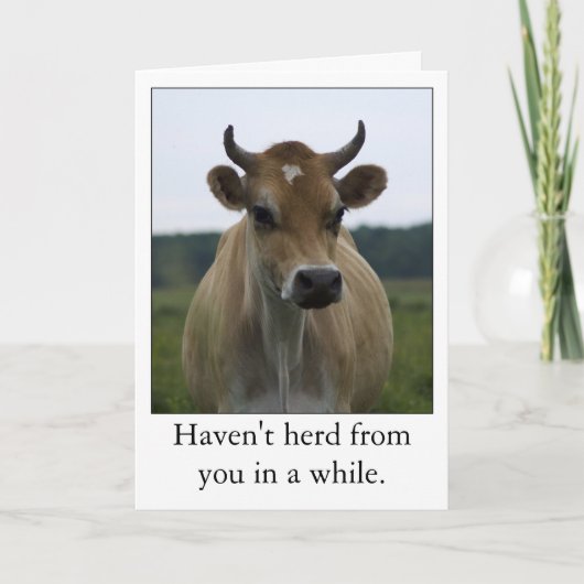 Funny Brown Vache carte de voeux (Devant)