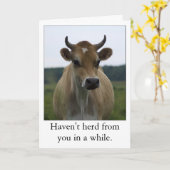 Funny Brown Vache carte de voeux (Fleur jaune)