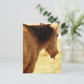 Funny Buckskin Briefkaart (Staand voorkant)