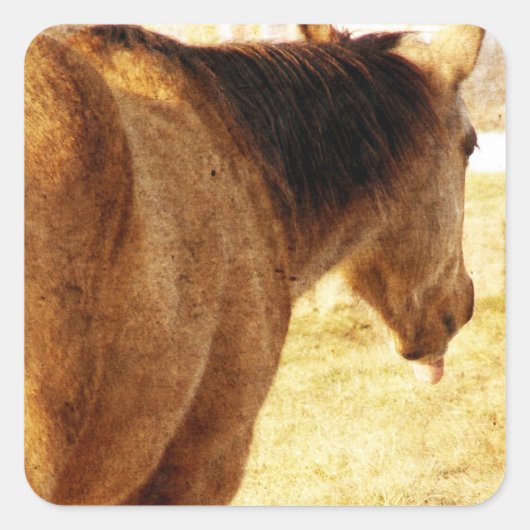 Funny Buckskin Vierkante Sticker (Voorkant)